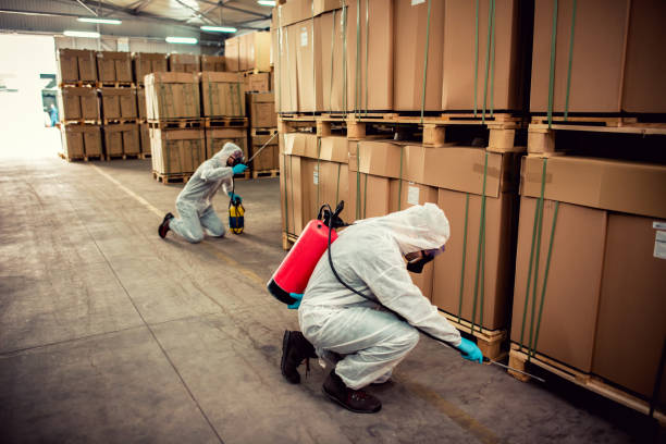 Best Exterminator Services  in Elwood, IL