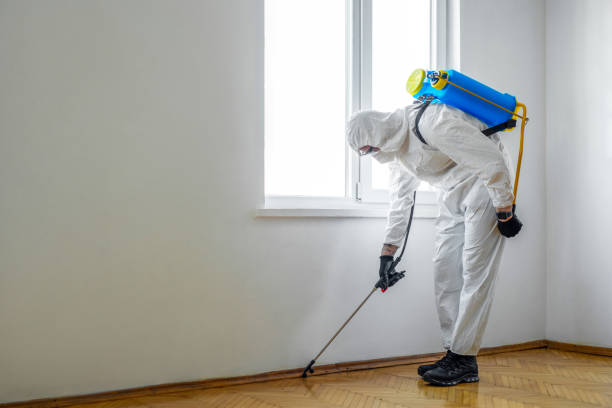 Best Rat Extermination Near Me  in Elwood, IL
